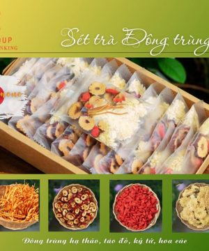 [TDTTV20] Trà Đông Trùng Tứ Vị RMG Group 20 Túi/ Hộp Nước Trà Tea Chè Chua